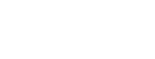 Grupo Koch